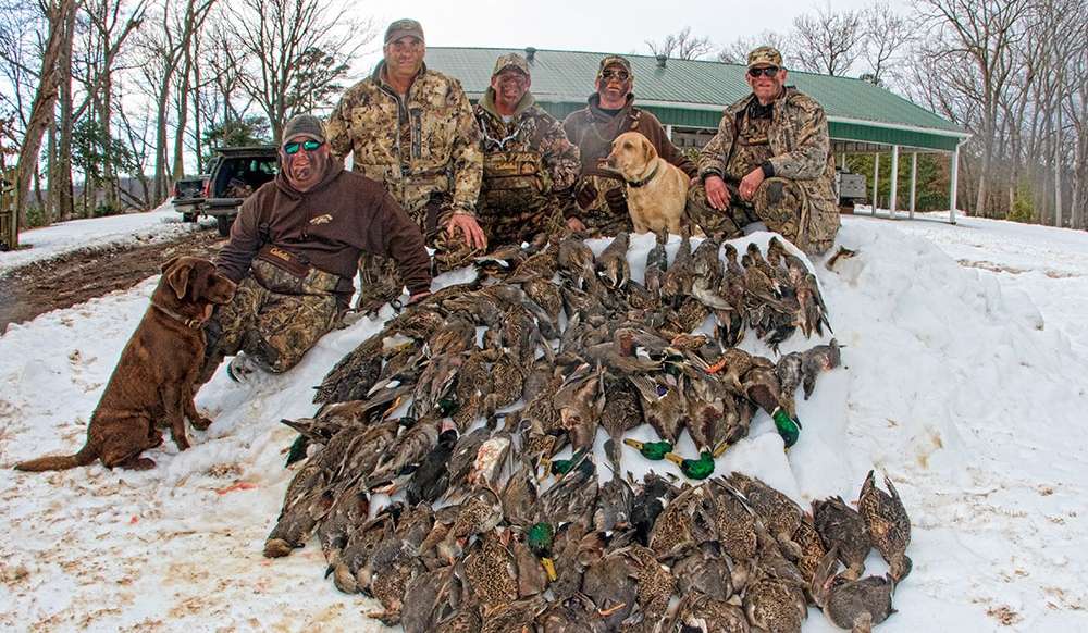 After a quick photo with the pile of ducks from the morning, shot by three different groups, Powroznik was back at work.
