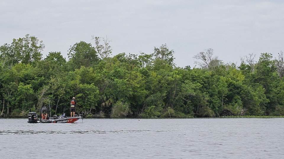 This is the lay of the land on the St. Johns River. At times it seems like a bass is a needle in a haystack and at other points they seem plentiful enough to be on every tree and grass patch on the expansive fishery.