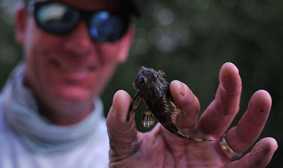 KVD shows one of the many species of fish in the Rio Negro.