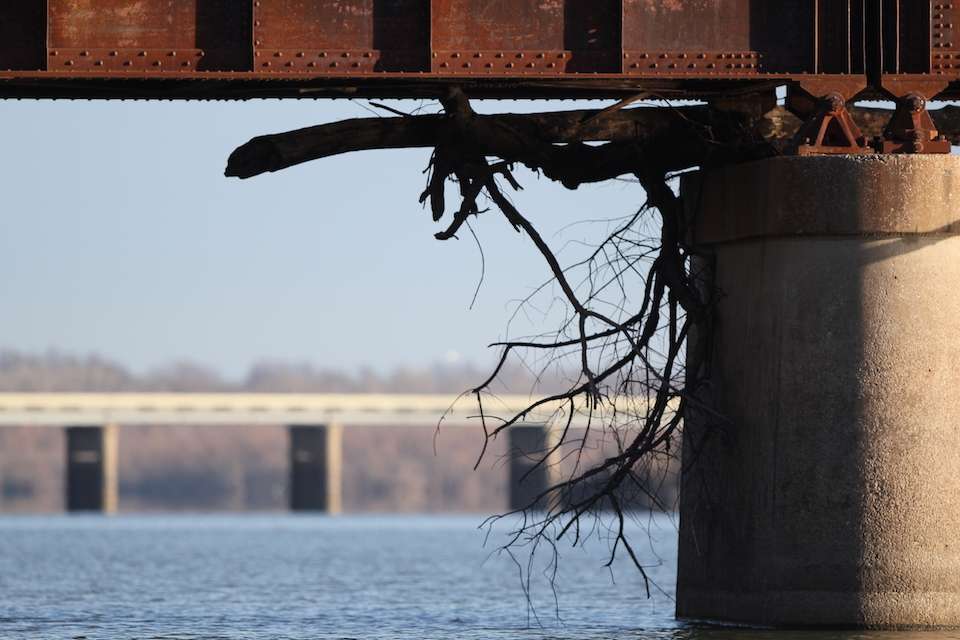 The signs of recent high waters abound in the Neosho River. 
