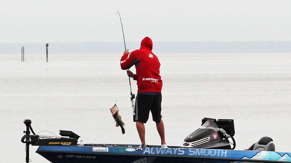 Chad Grigsby hoists another one into the boat to build on his limit. 