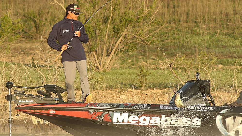 The 2-pound largemouth has been the most common fish in this event. Capturing one with even a little more weight than that is cause for celebration.