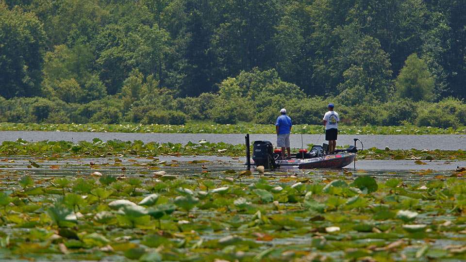 Timmy Horton, who lives down lake in Muscle Shoals, said conditions with vegetation have improved of late, which should mean most anglers fillingd limits and daily weights into the teens.