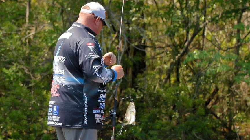 <b>8. Jacob Powroznik, 46-2</b><br>
He was another angler who relied on variety: a V&M J-Bug, a spinnerbait made by Cliff Pace, a Livingston Lures Primetyme Square 2.0 crankbait and a V&M Trickster worm (junebug) on a shakey head. He fished in the Waccamaw River. âI caught a limit early every day on the spinnerbait, then go looking for a big one,â said Powroznik, who caught a 6-pounder on Day 3.