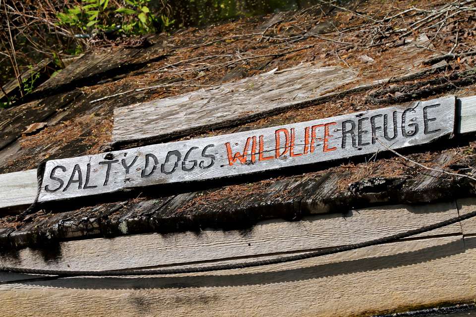  â¦Salty Dogs Wildlife Refuge. 