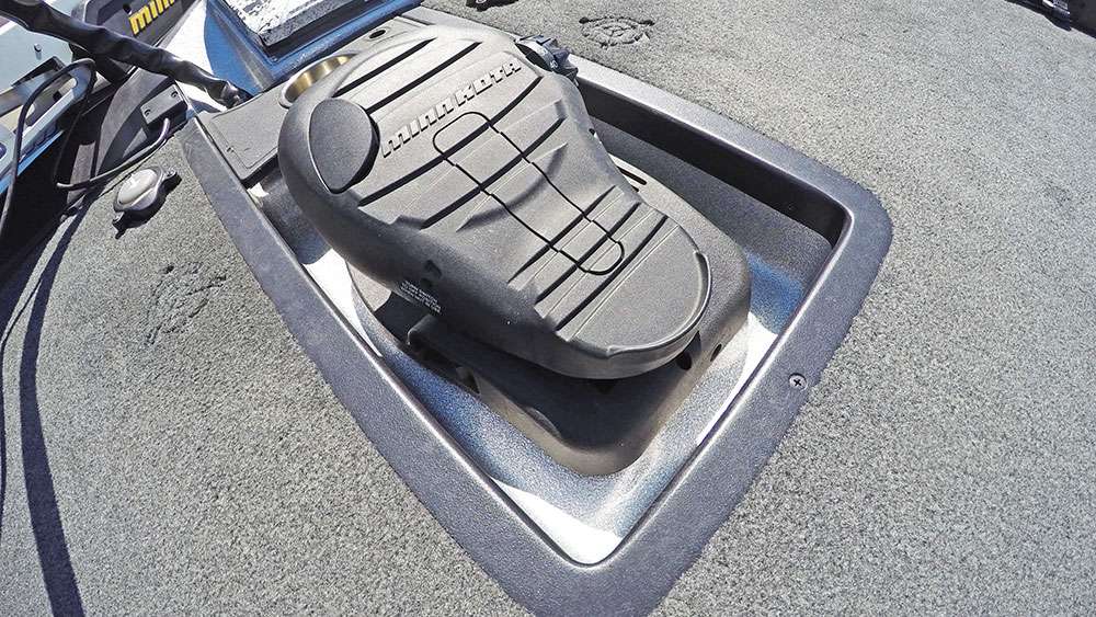 The trolling motor foot pedal allows you to choose direction and power, but you probably already knew that. It's still a great photo!