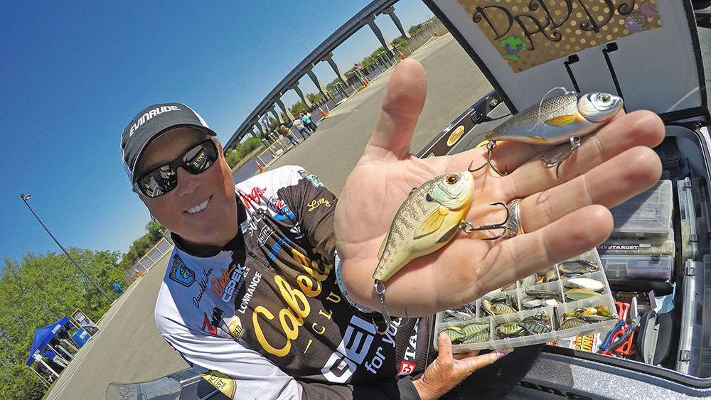 You'll find lots of LiveTarget crankbaits, including these highly designed and ultra-lifelike lipless baits. 