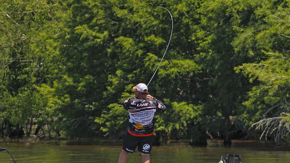 Lane went on a flurry as he set the hook again.
