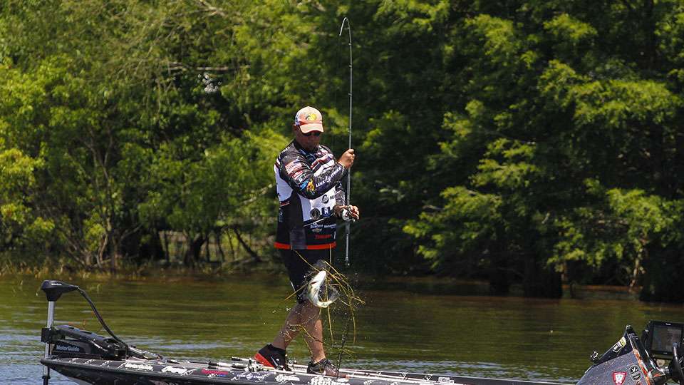 He thought this one was a giant, but it just had a bunch of grass on it. It wouldnât cull for Lane.