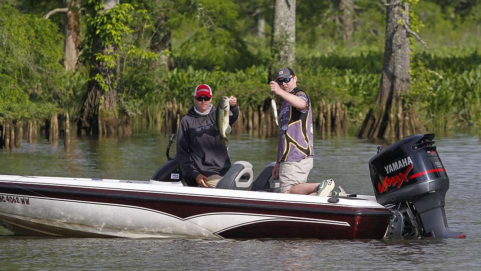 How about that cull for the team?