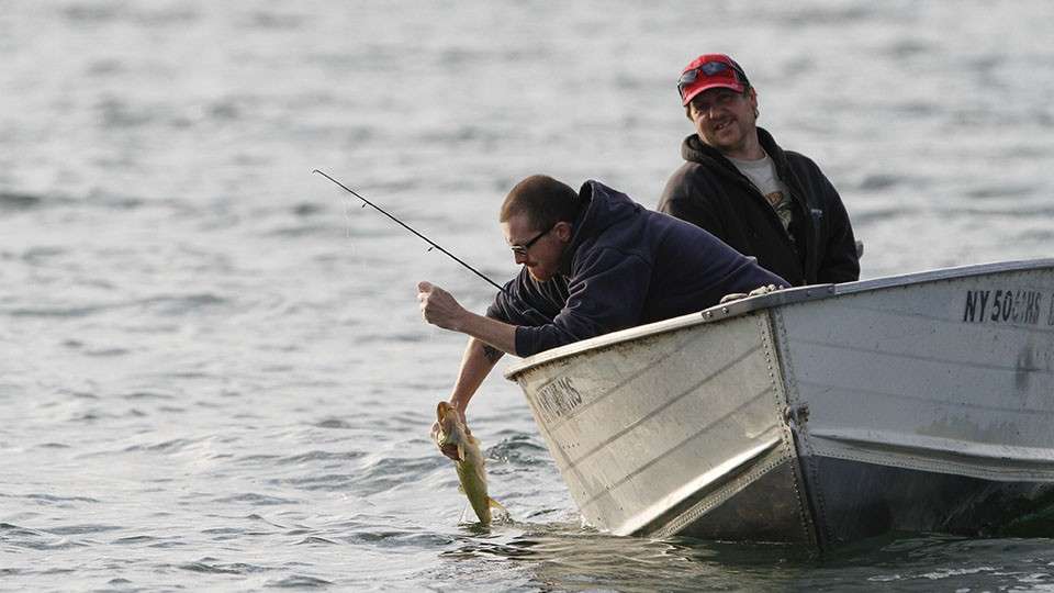 Locals and pros found plenty of pickerel this week on Cayuga