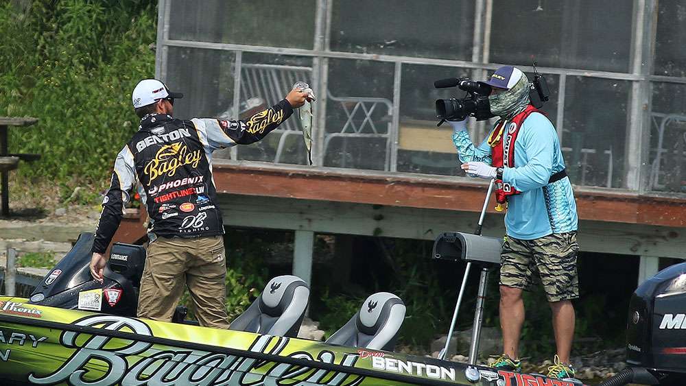 Benton would give the Bassmaster Live audience a close look then use the fish to cull.
