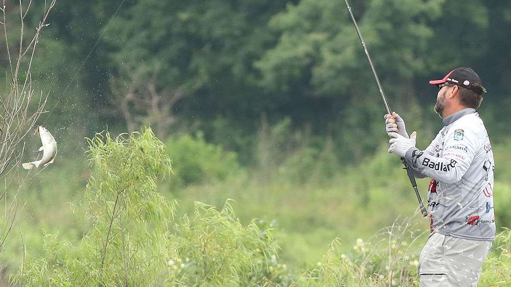 And then he'd repeat the process.