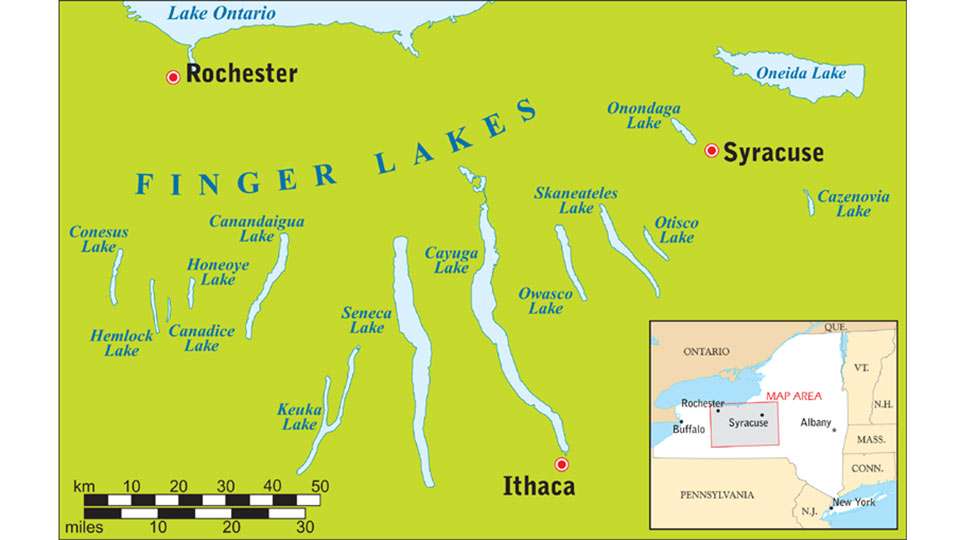 There are 11 Finger Lakes, ranging in length from Cayuga, at 40 miles, to Canadice, only 3 miles long. Seneca is the deepest at 618 feet while Cayuga is second deepest, bottoming out at 435 feet. 