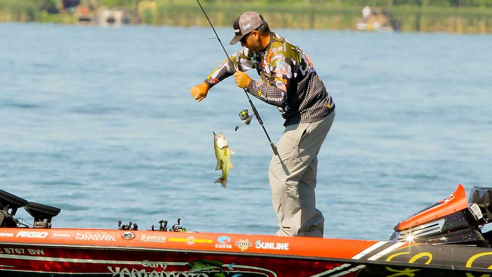 Find out how Brett Hite did during Day 2 of the Busch Beer Bassmaster Elite at Cayuga Lake in Union Springs, NY.