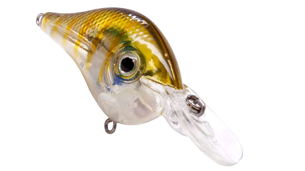 Livingston Shredder 53</p>
<p>A small 53MM body that dives aggressively up to 6 feet, and has the exact size and erratic swim action of forage schooling bait in the medium-depth water column. Casting distance is not a problem with this little chunk: At just over 3/8-ounce, it provides dart-like accuracy. EBS Sound Technology works on a subtle pause during the crank, giving the predator no doubt that what they are inhaling is forage.
