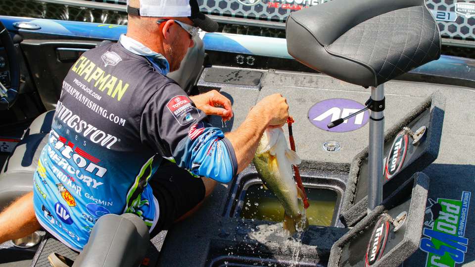  As Brent Chapman began to pull he and partner Joseph Secrease's fish from the livewell, the other teams sensed they were in trouble. 