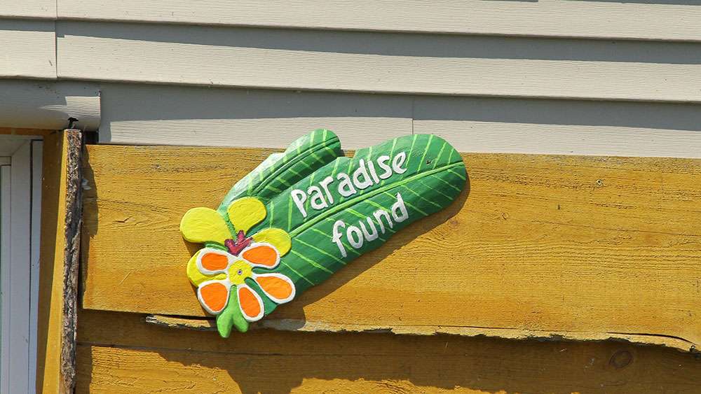 Tonawanda Creek is indeed Paradise Found. It is lined with beautiful homes and parks.  