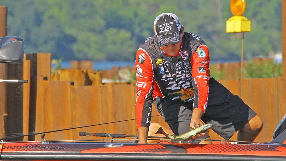 The seven time AOY winner carefully released the bass back into the Niagara River. 