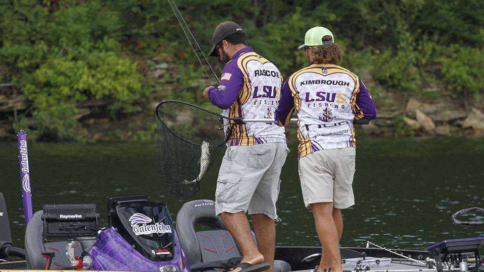 The duo landed the fish and looked to cull.
