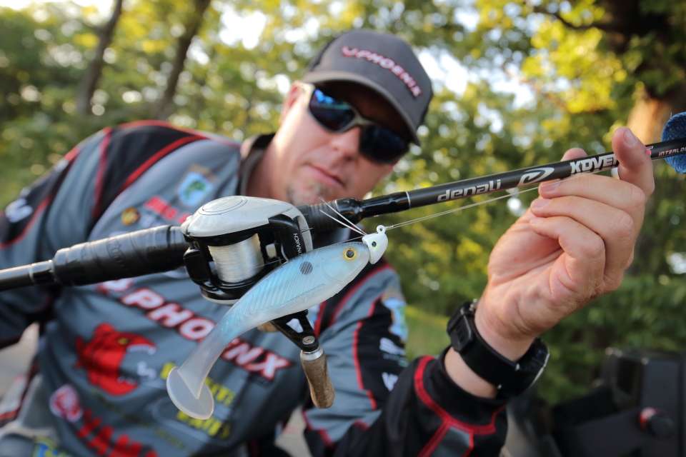Another of Lane's favorite offerings: A Big Bite Baits BB Kicker Swimbait on a Buckeye Lures J-Will Swimbait Head.