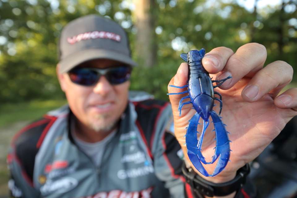 The Real Deal Craw in one of Lane's favorite colors, hematoma.