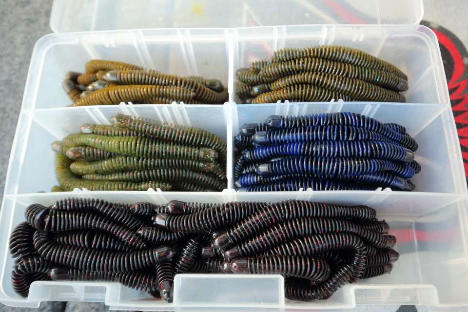 A box filled with all colors of Coontail worms from Big Bite Baits.