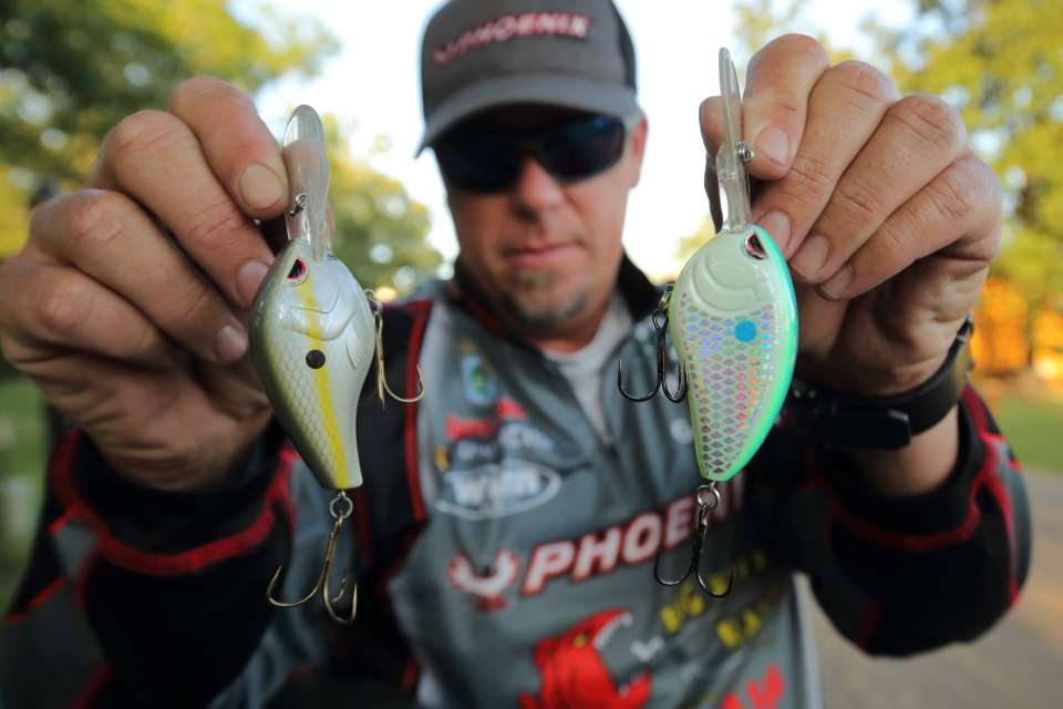 Crankbaits in two of Lane's favorite color patterns.