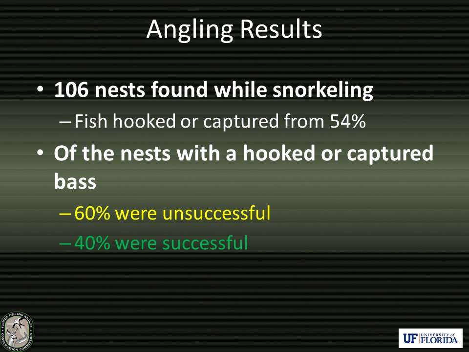 Out of 106 nests located in fished populations, biologists were able to catch fish from 54%. Of the nests from which guarding bass were captured, 40% were still successful. This is despite having the adult held away from the nest for one hour.