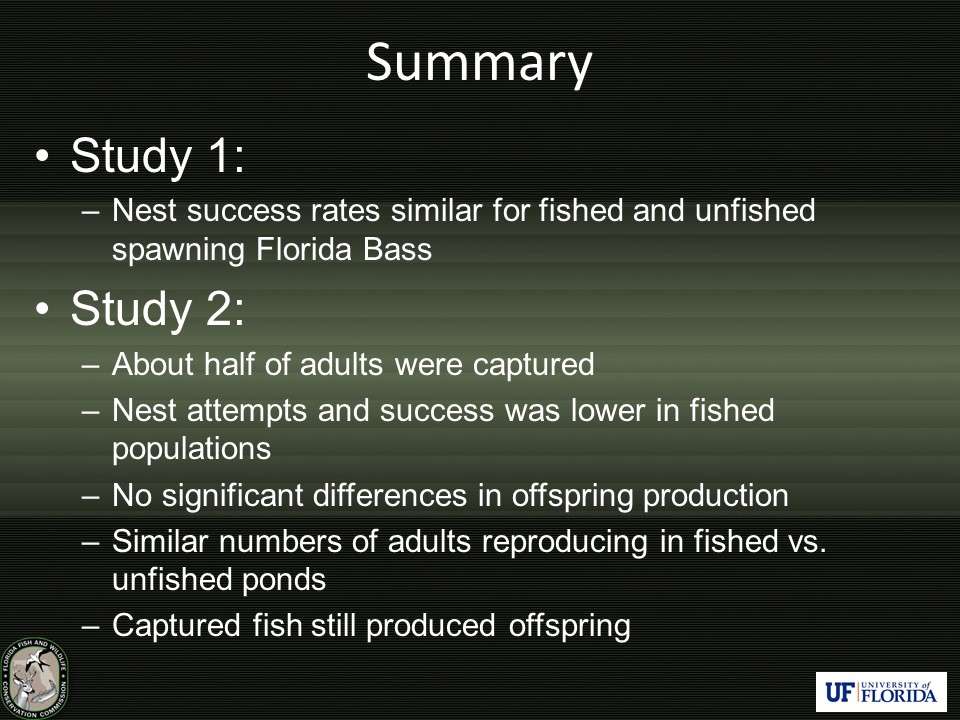 Researchers concluded that bed fishing in Florida does not appear to have negative impacts on offspring production or parental contribution in experimental bass populations. Florida bass are known to be less aggressive than bass in northern waters, meaning Florida bass may be harder to catch while guarding their nest. Also, Florida bass can spawn multiple times per year, meaning a nest lost due to fishing does not mean they cannot reproduce again later in the year.