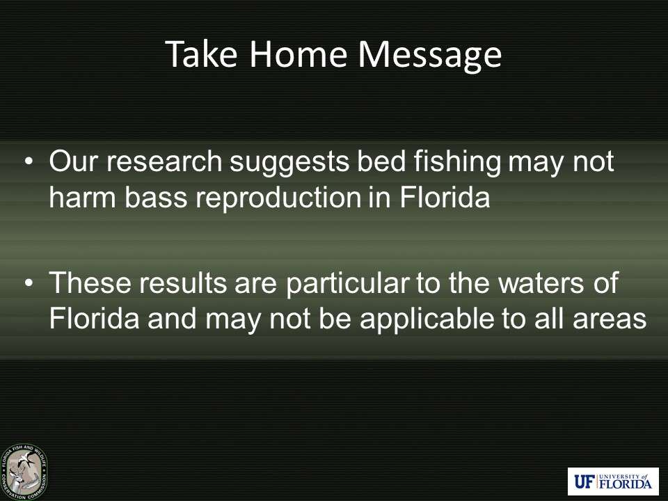 So what does this research mean for your local bass fishery? Donât expect to see declines in juvenile bass production as a result of bed fishing efforts if you live or fish in an area like Florida.
