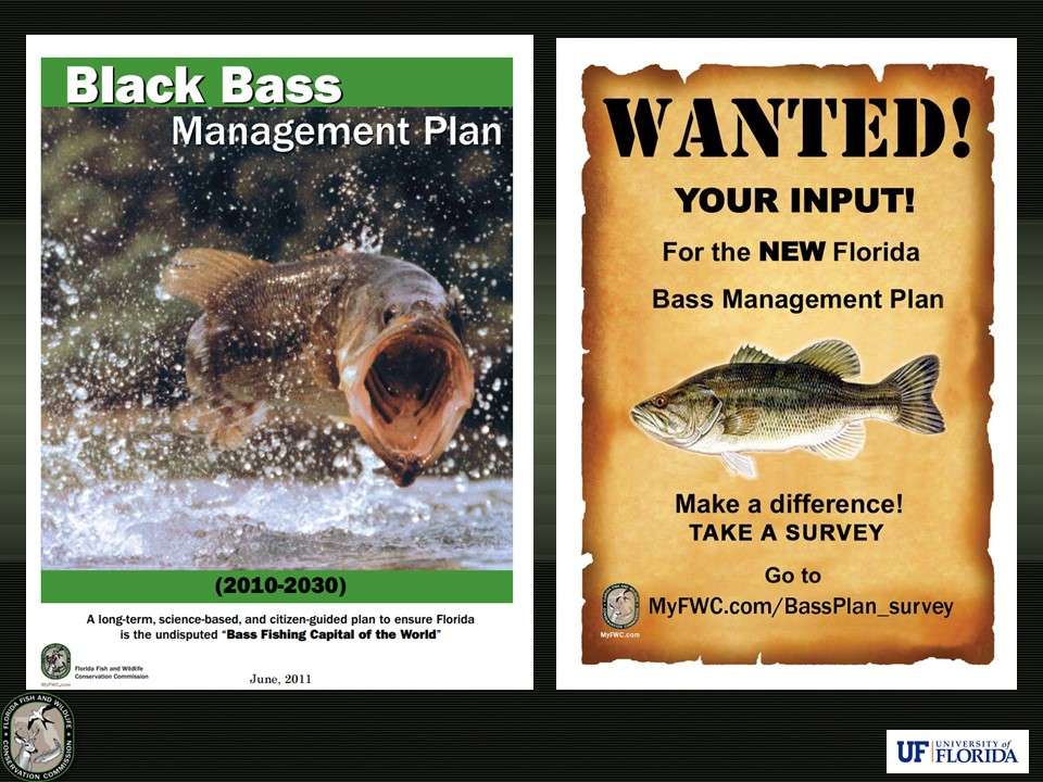 In 2010, FWC put together a long term bass management plan and surveyed freshwater license holders to see what important issues they felt needed to be addressed. Concern about the impacts of bed fishing on bass populations was the second most common response. 