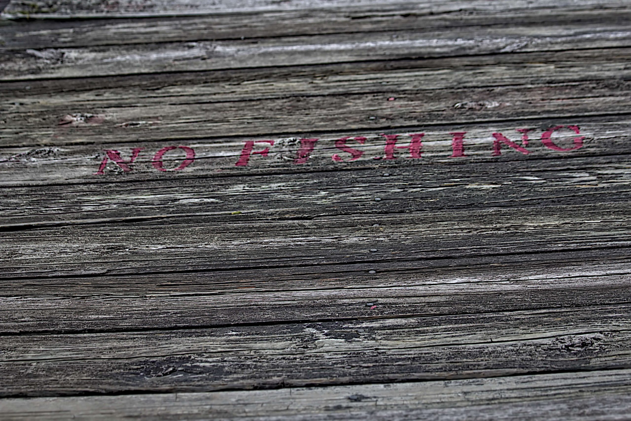No Fishing from the dock unless you happen to beâ¦