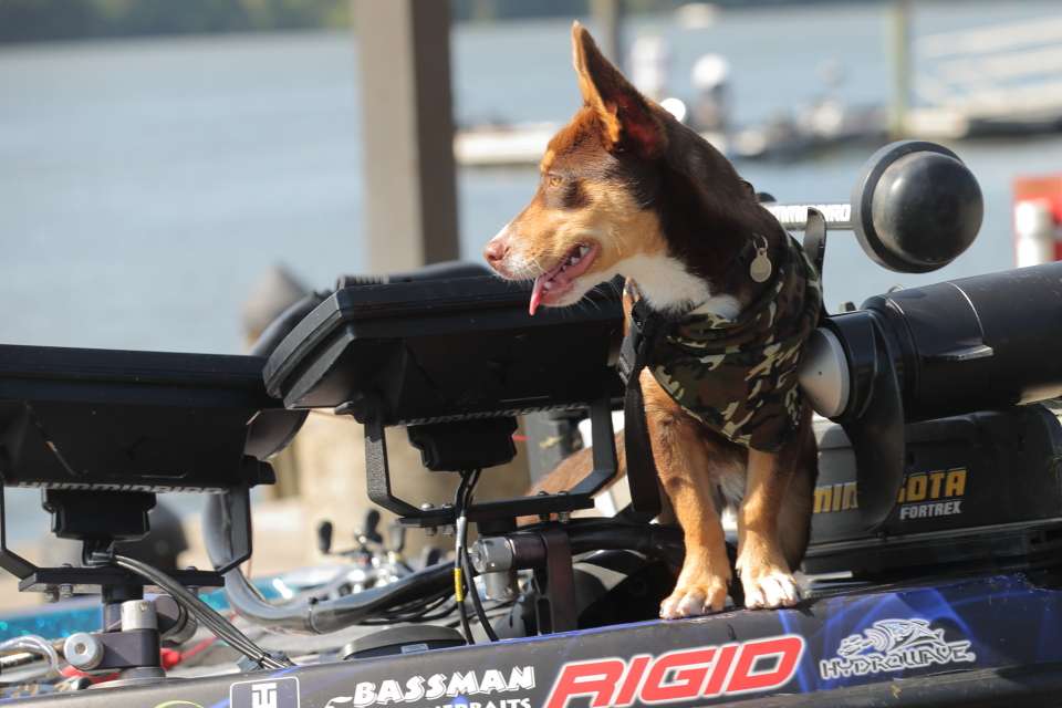 Carl Jocumsen's dog hangs out on his boat.