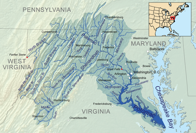 Approximately 405 miles long, the Potomac River drains 14,700 square miles, making it the fourth largest river along the Atlantic Coast and 21st largest in the U.S. There are more than 5 million people living in the riverâs watershed.