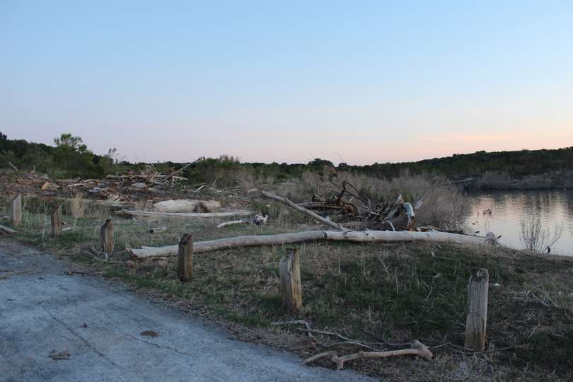 Massive limbs and logs were scattered about the area.