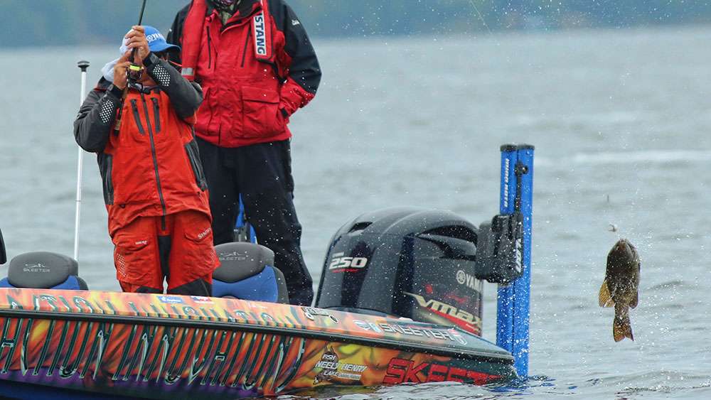 And understand the concern if the fish showed itself like this.