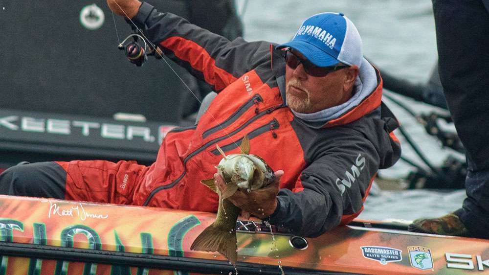 This one would help his overall weight.