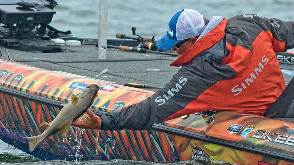 Every once in a while, one of the bigger smallmouth would slip from their grasp.