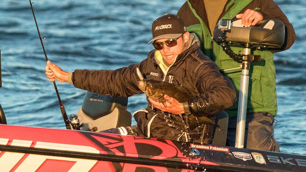 The hefty smallmouth would seem to indicate that smallmouth were once again loaded up.