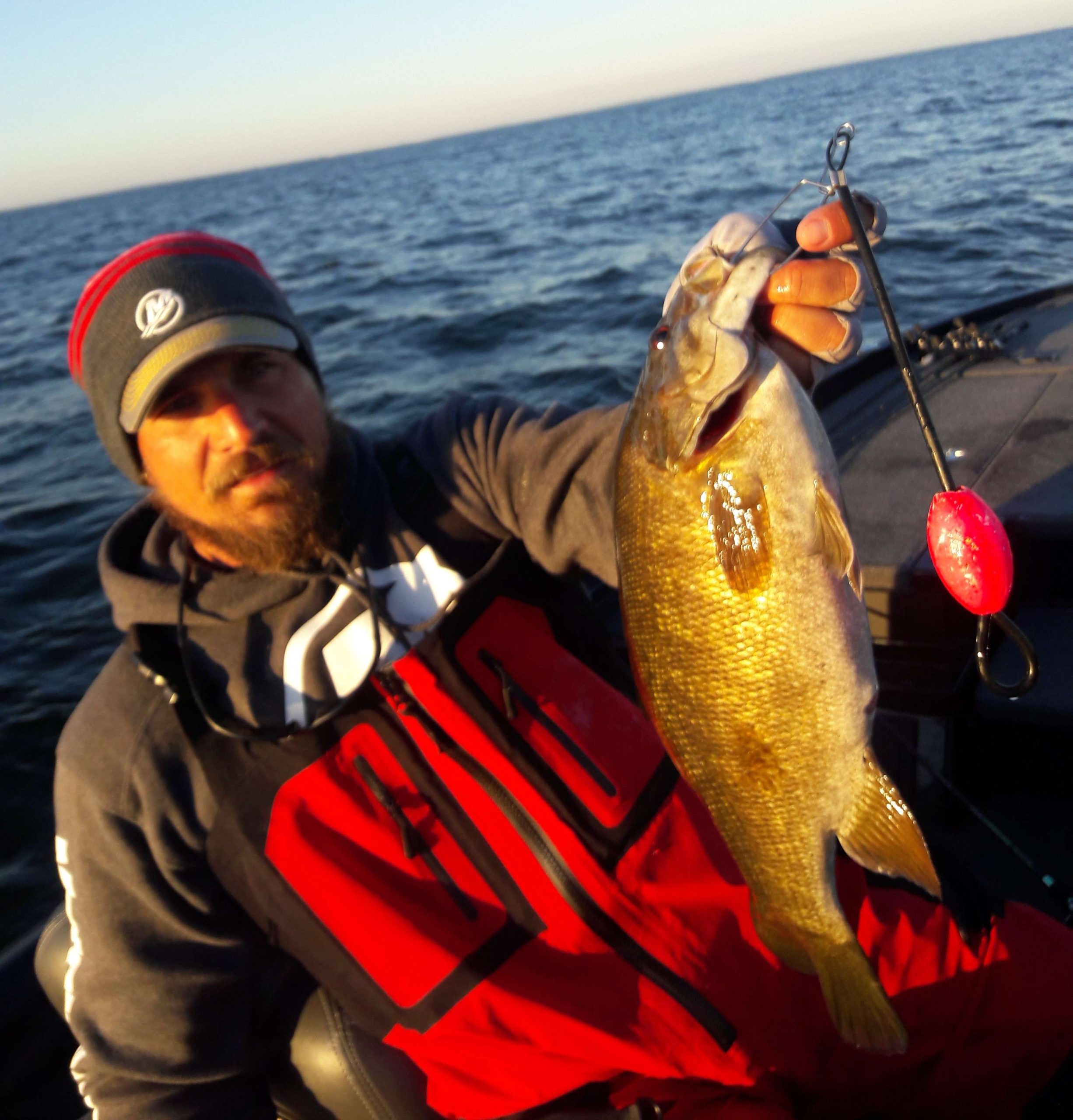 See the Sunday morning smallies collected from the final day blogs for the 2016 Toyota Bassmaster Angler of the Year Championship.