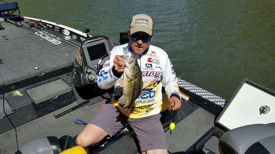 Mike McClelland started the day in 52nd place and on the cusp of sliding into the AOY Championship. But after what he called a âbone-headâ mistake on Day 1, his catch was disqualified. The venerable professional unintentionally culled a bass on the Minnesota side of the Mississippi River. Culling is forbidden in Minnesota. The zero from the day dropped him to 71st. He would need to make at least the top 20 on Day 2 for a shot at making the AOY Championship.