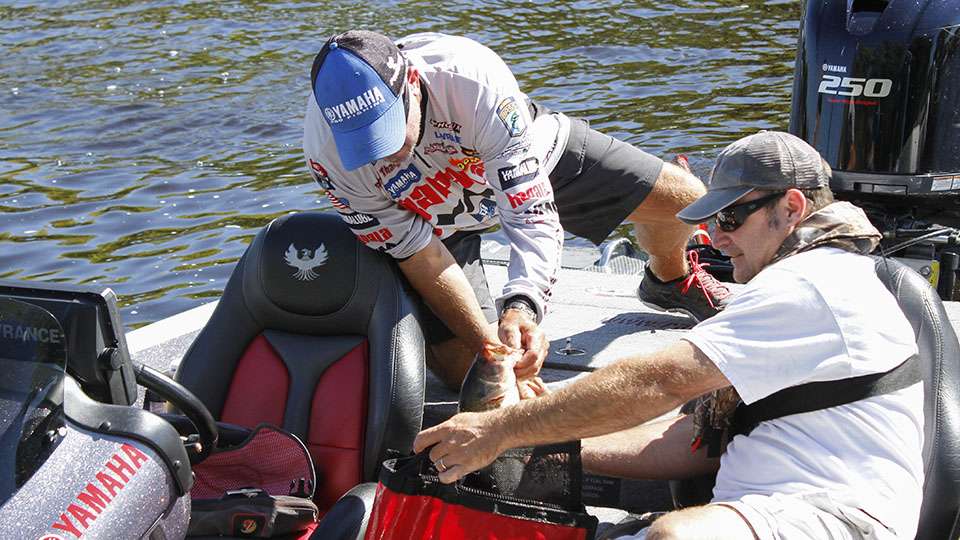 Randall Tharp bags his fish on Day 1 of the Plano Bassmaster Elite on the Mississippi River presented by Favorite Fishing.