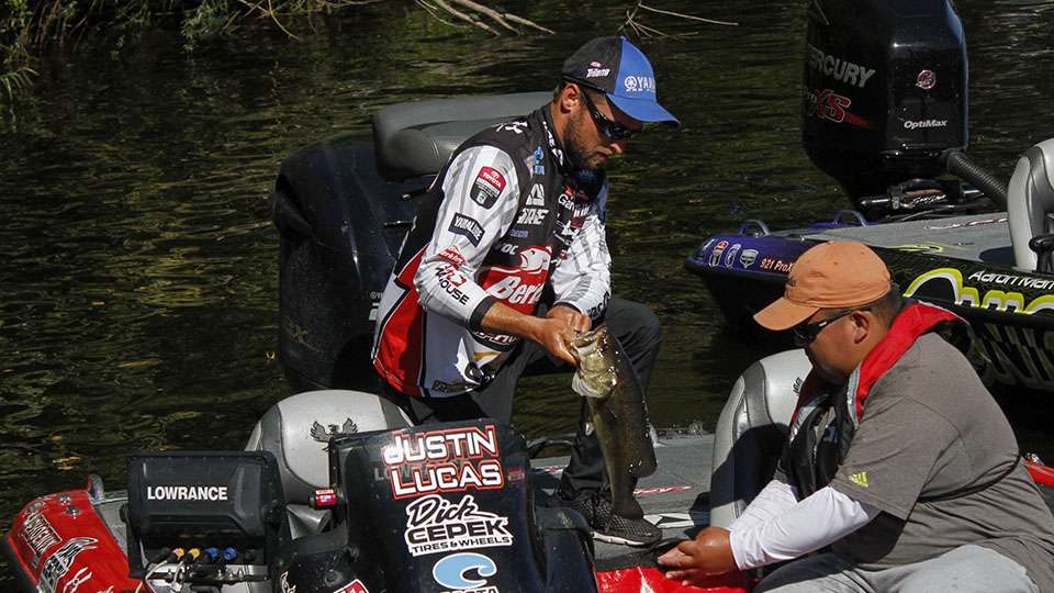 Justin Lucas, the Potomac River Elite Series champion bags up his Day 1 catch.