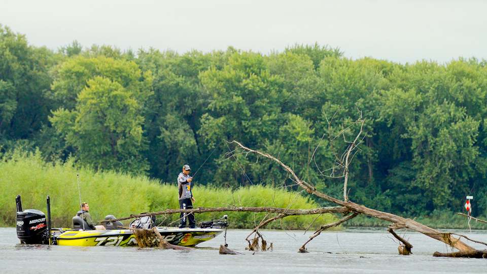 Casey Scanlon was fishing a tree that had fallen in the water...