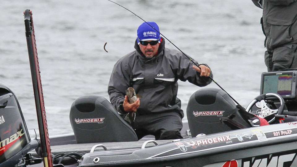 He grabs a chunky smallmouth that most anglers would describe as a football.