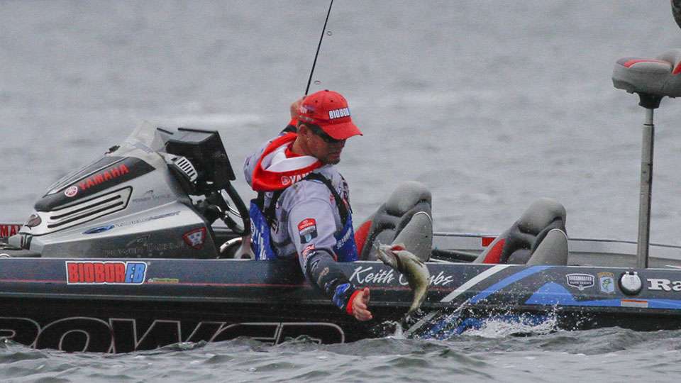 This one also had some dancing in its DNA as it goes wild at the boat.