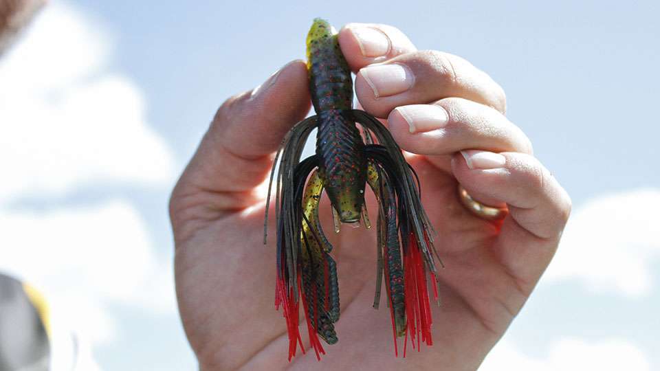 He also pulled out his favorite bait of the 2016 season. He said he used the Tightlines UV Hybrid Craw when he was primarily bed fishing, which was as much as he possibly could.