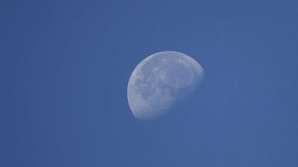 The moon was still high in the sky and very visible during the midday portion of fishing.