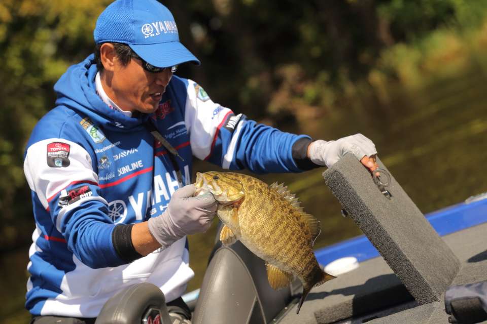 We looked back at Omori just in time to see one of the fish that would add up to his big cumulative total!